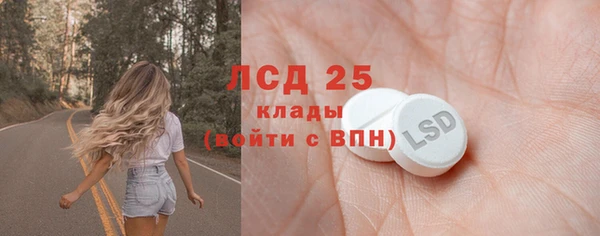 прущие грибы Арсеньев