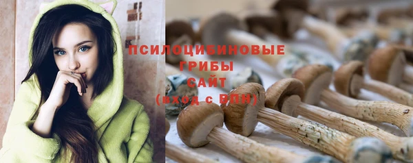 прущие грибы Арсеньев