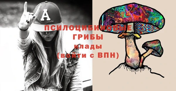 прущие грибы Арсеньев