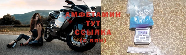 прущие грибы Арсеньев