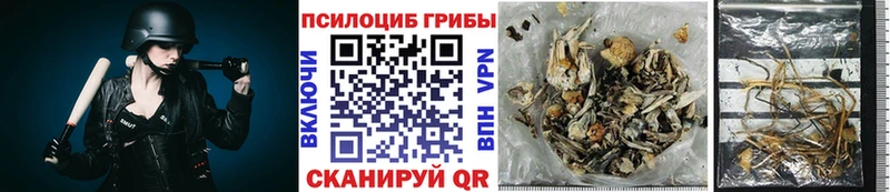 Галлюциногенные грибы мицелий  что такое   Суворов 